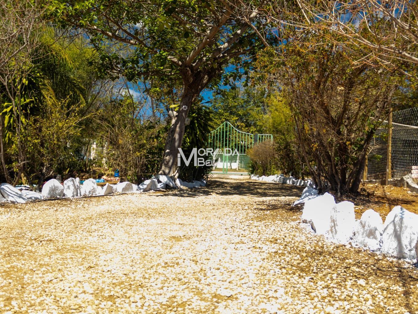 Sítio, 6 quartos, 3530 m² - Foto 19