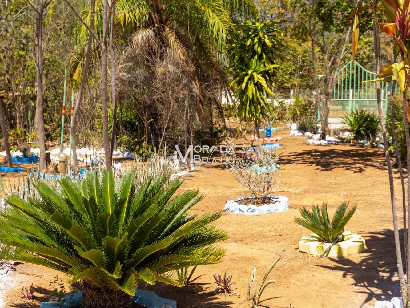 Sítio, 6 quartos, 3530 m² - Foto 18