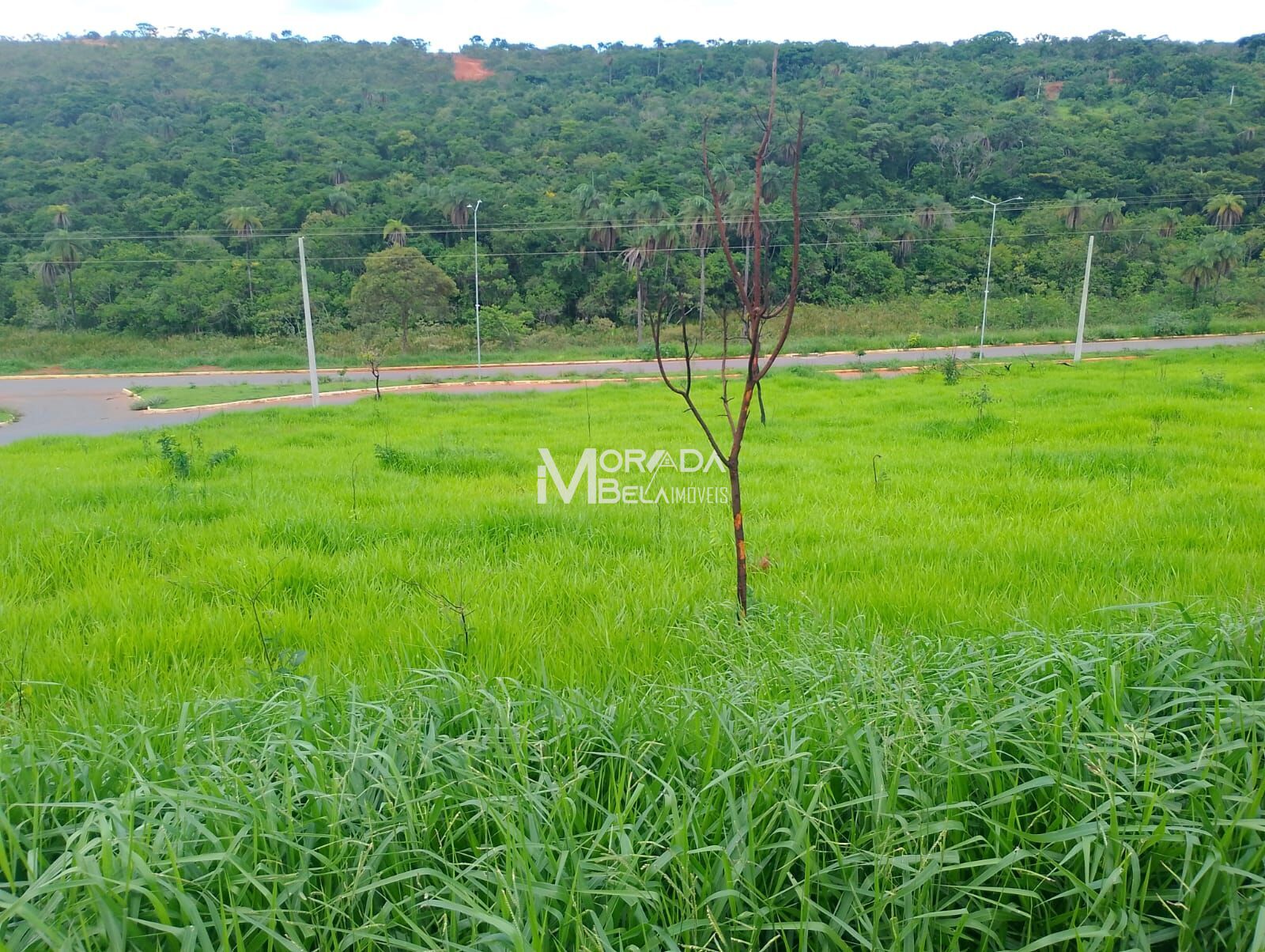 Terreno, 439 m² - Foto 6