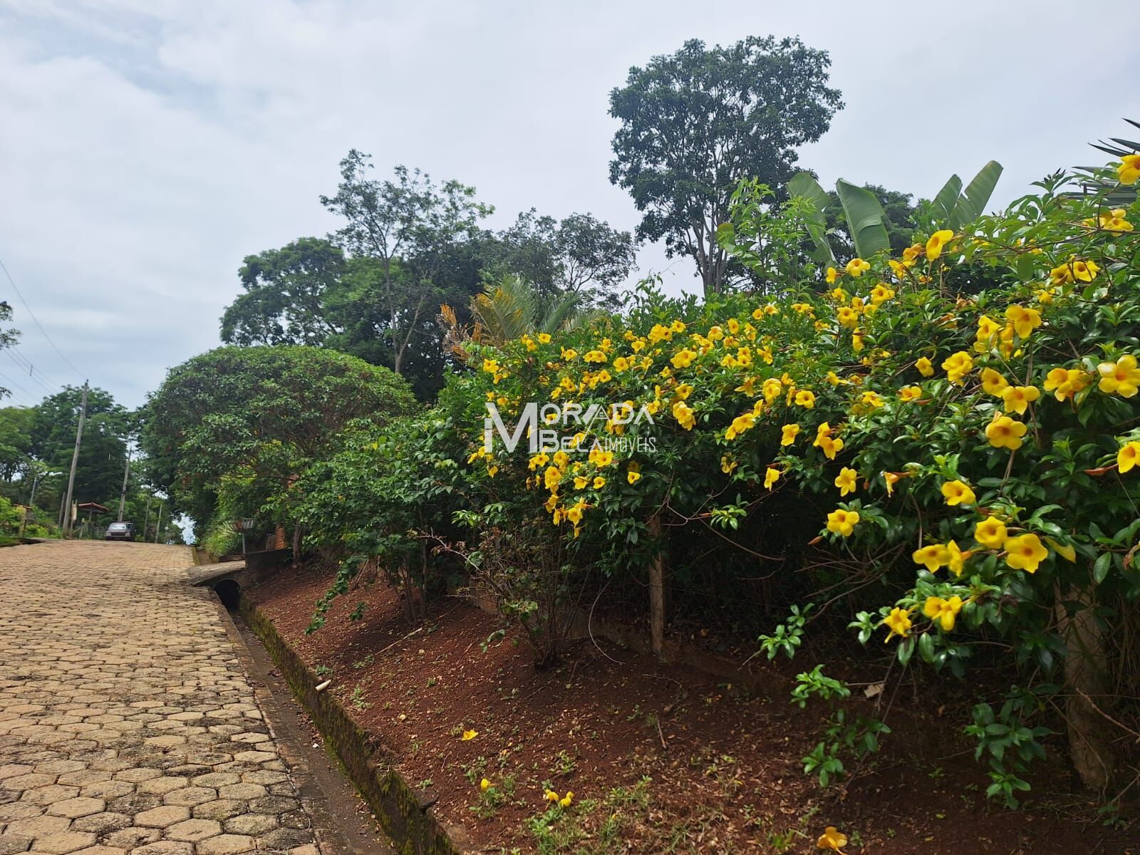 Chácara, 4 quartos, 2000 m² - Foto 37