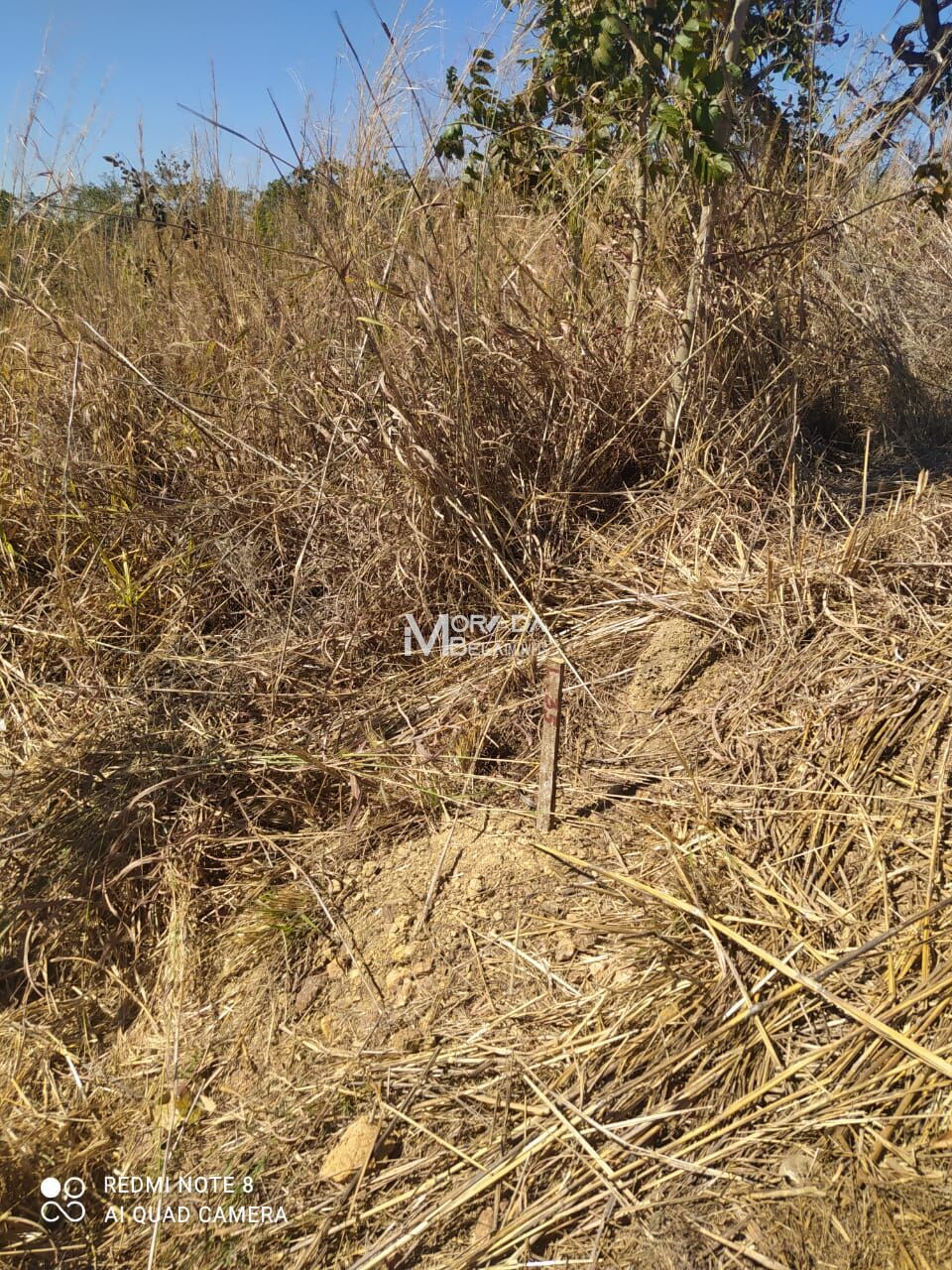 Terreno à venda, 1000m² - Foto 21