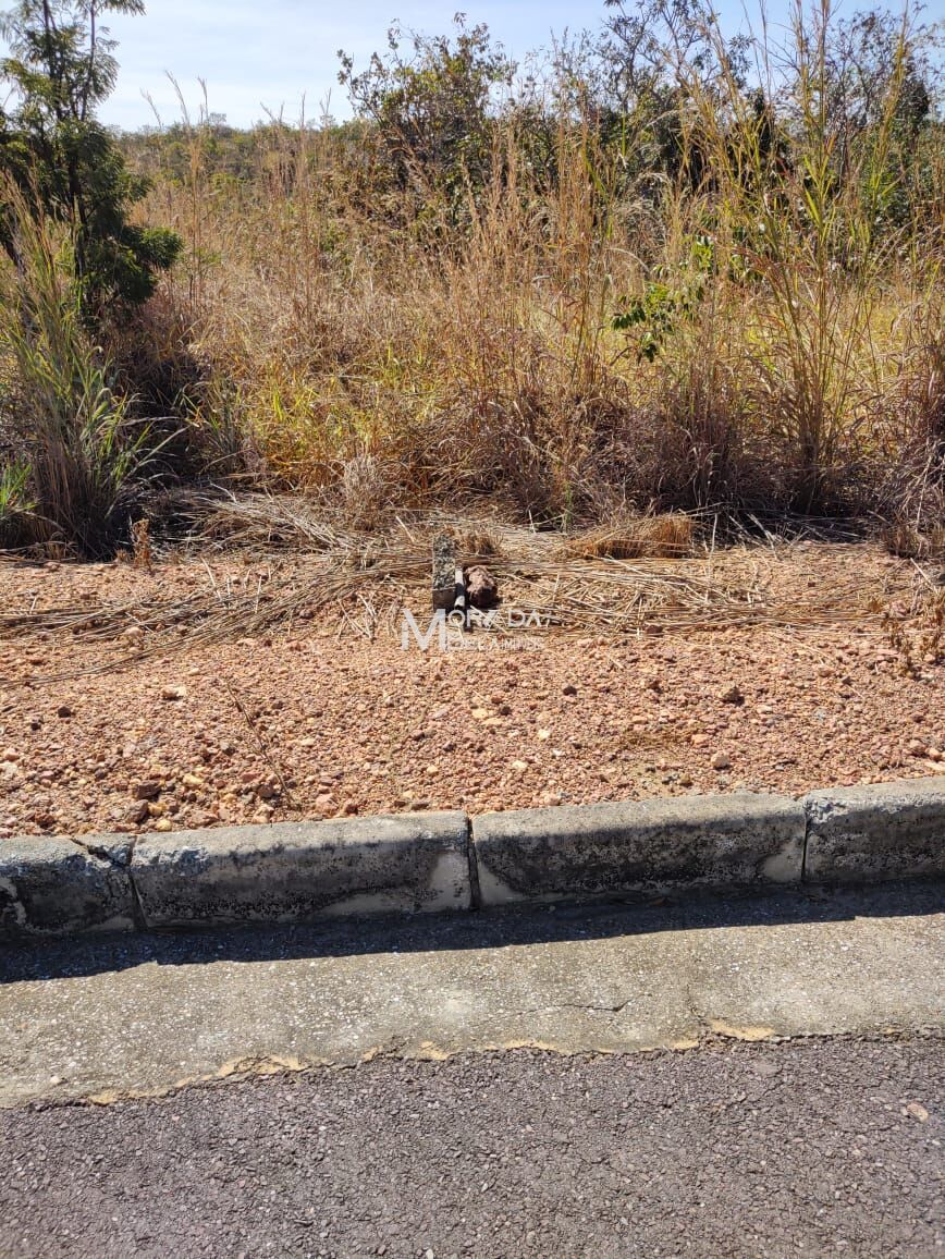 Terreno à venda, 1000m² - Foto 20