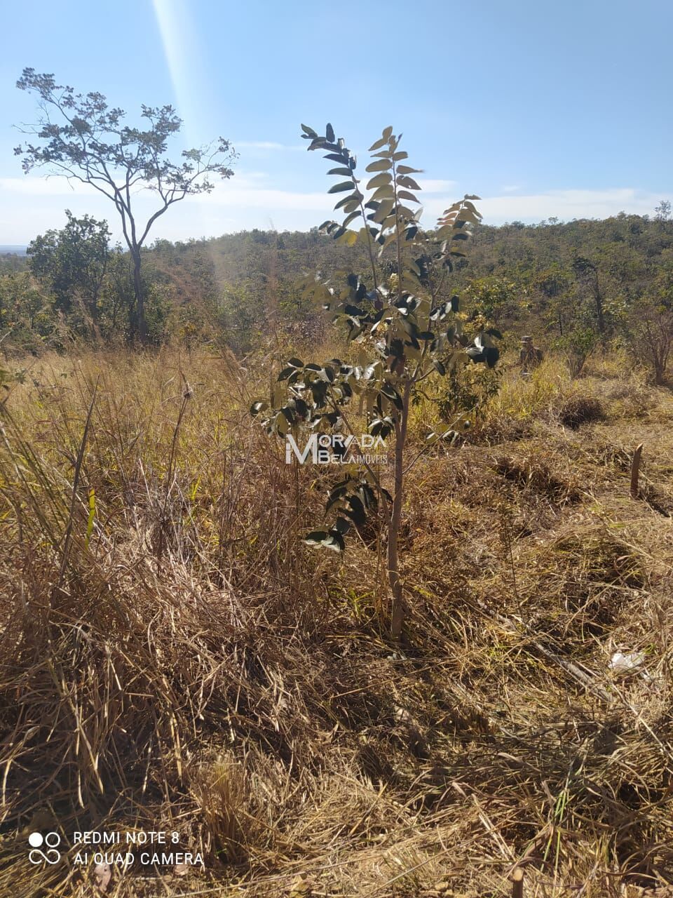 Terreno à venda, 1000m² - Foto 17