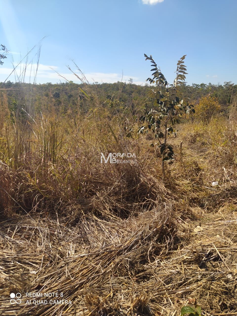 Terreno à venda, 1000m² - Foto 18