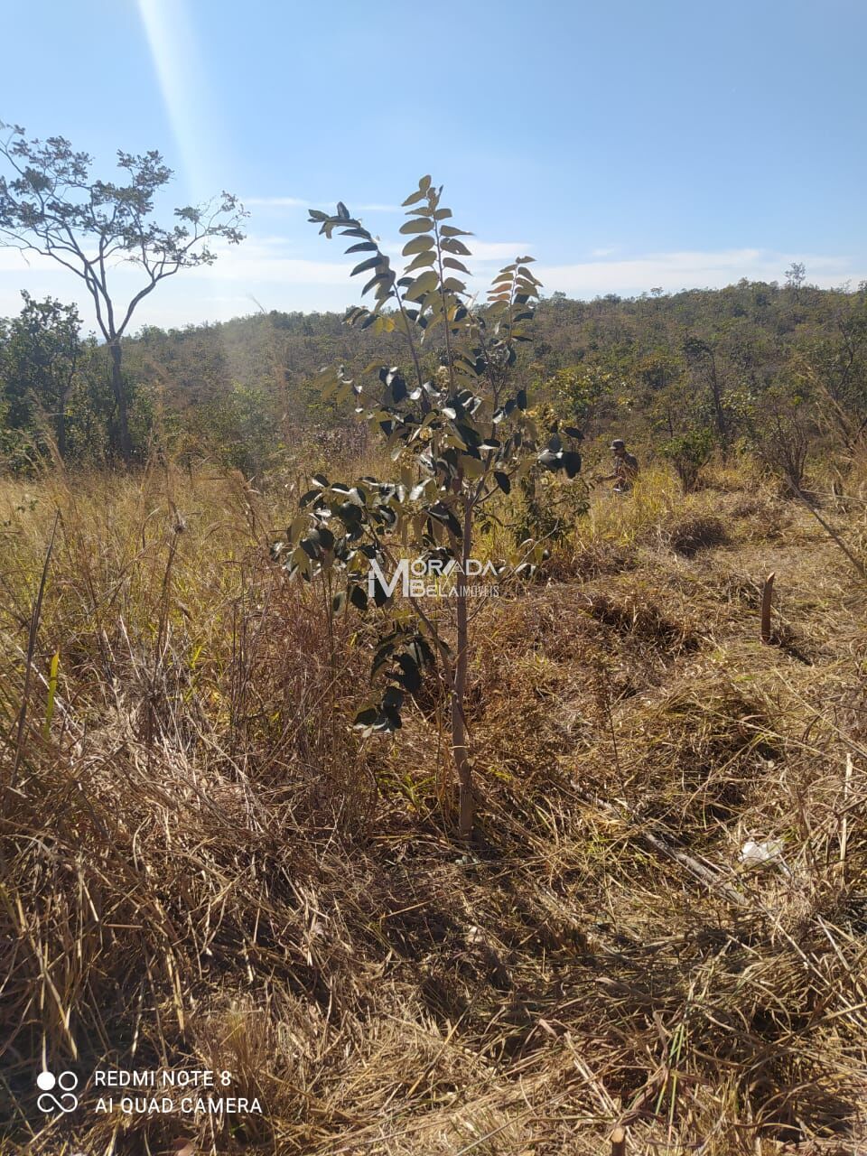 Terreno à venda, 1000m² - Foto 19