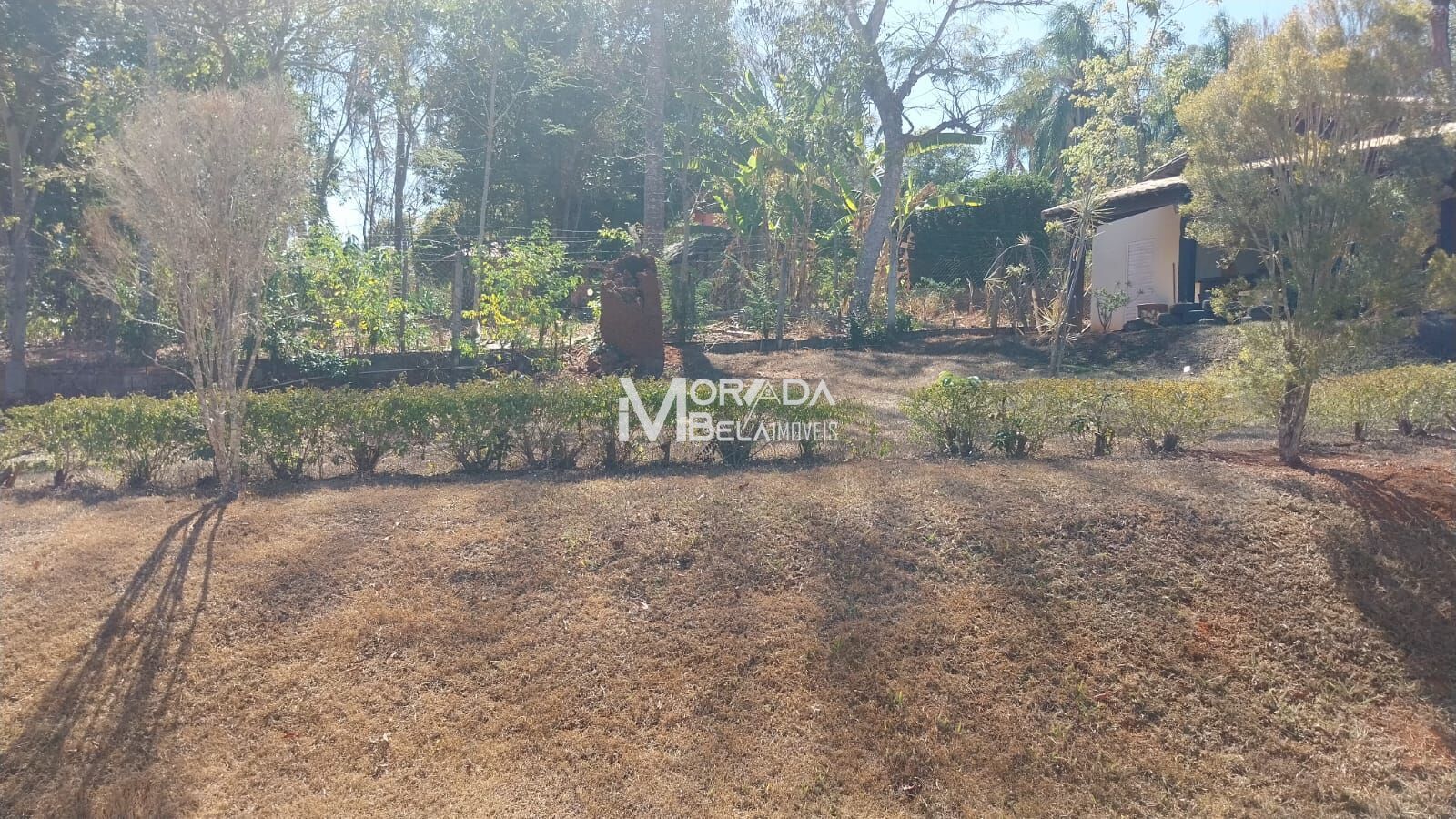 Chácara para alugar com 4 quartos, 2000m² - Foto 5