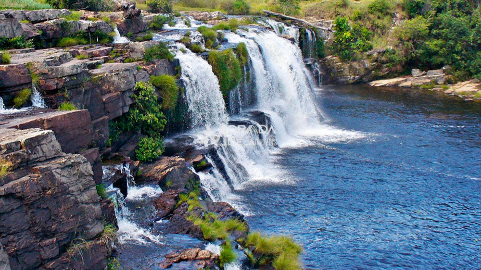 Terreno, 2 hectares - Foto 1