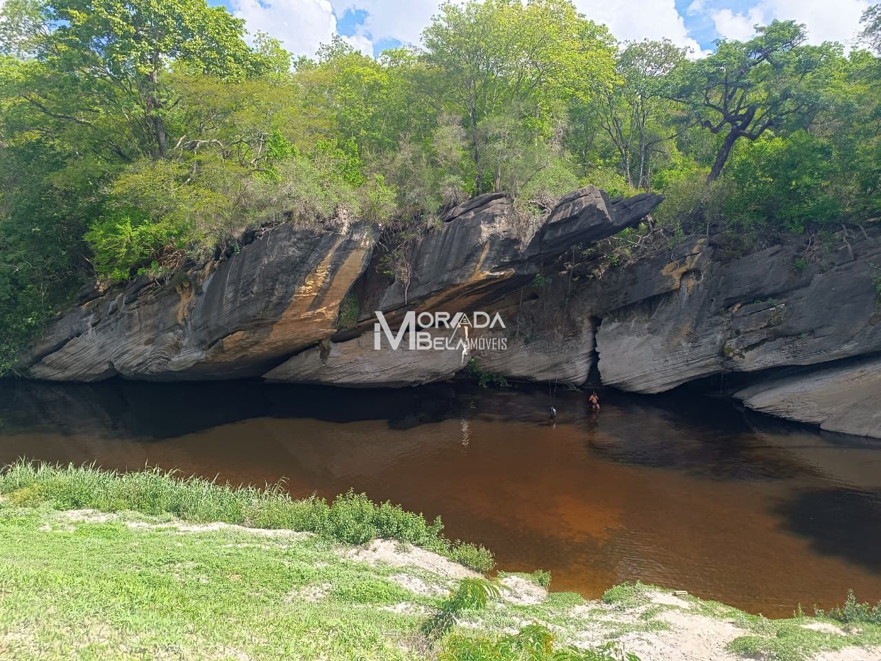 Terreno, 2 hectares - Foto 2