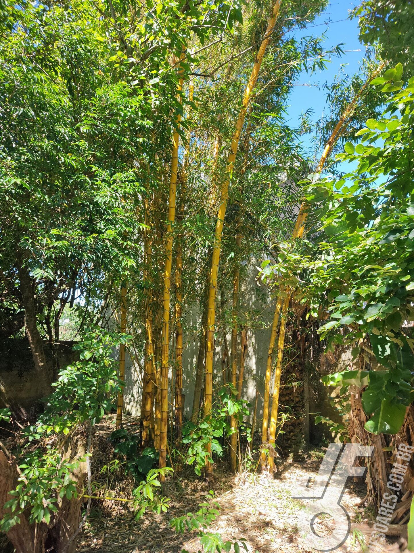 Casa, 2 quartos, 84 m² - Foto 21