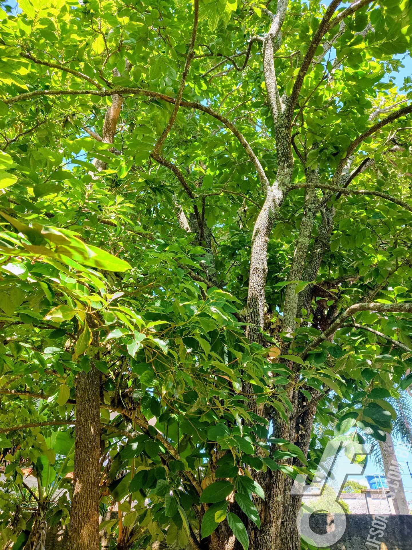 Casa, 2 quartos, 84 m² - Foto 19