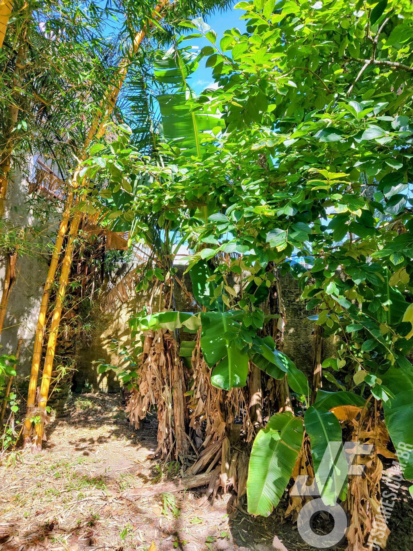 Casa, 2 quartos, 84 m² - Foto 20