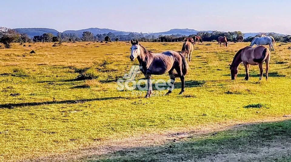 Terreno à venda, 200000m² - Foto 1
