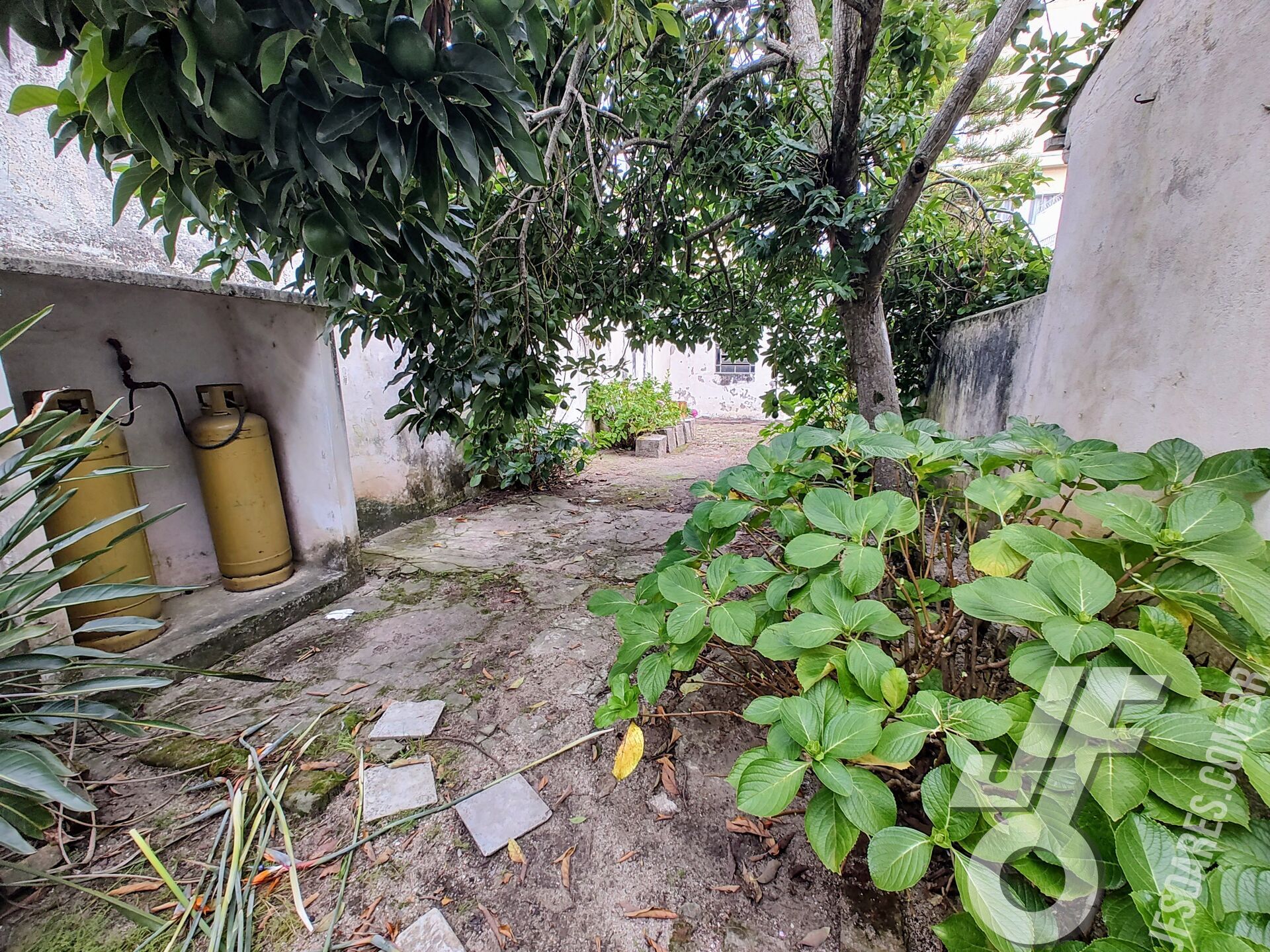 Casa, 3 quartos, 229 m² - Foto 25