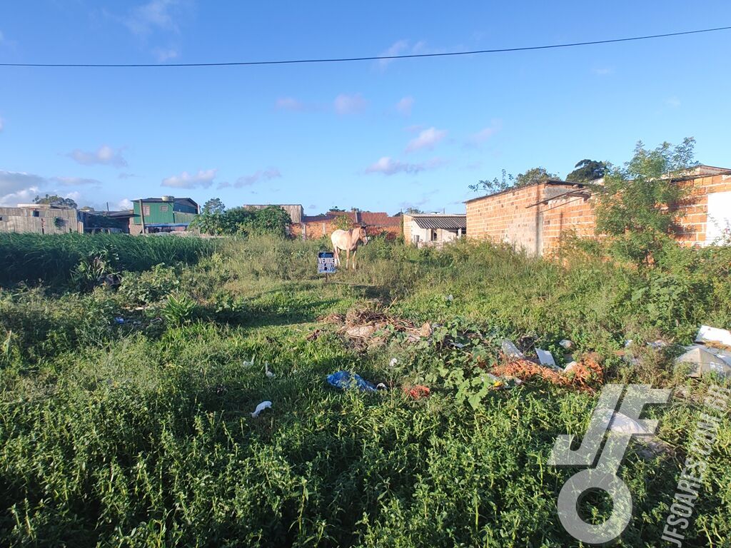 Terreno, 214 m² - Foto 2