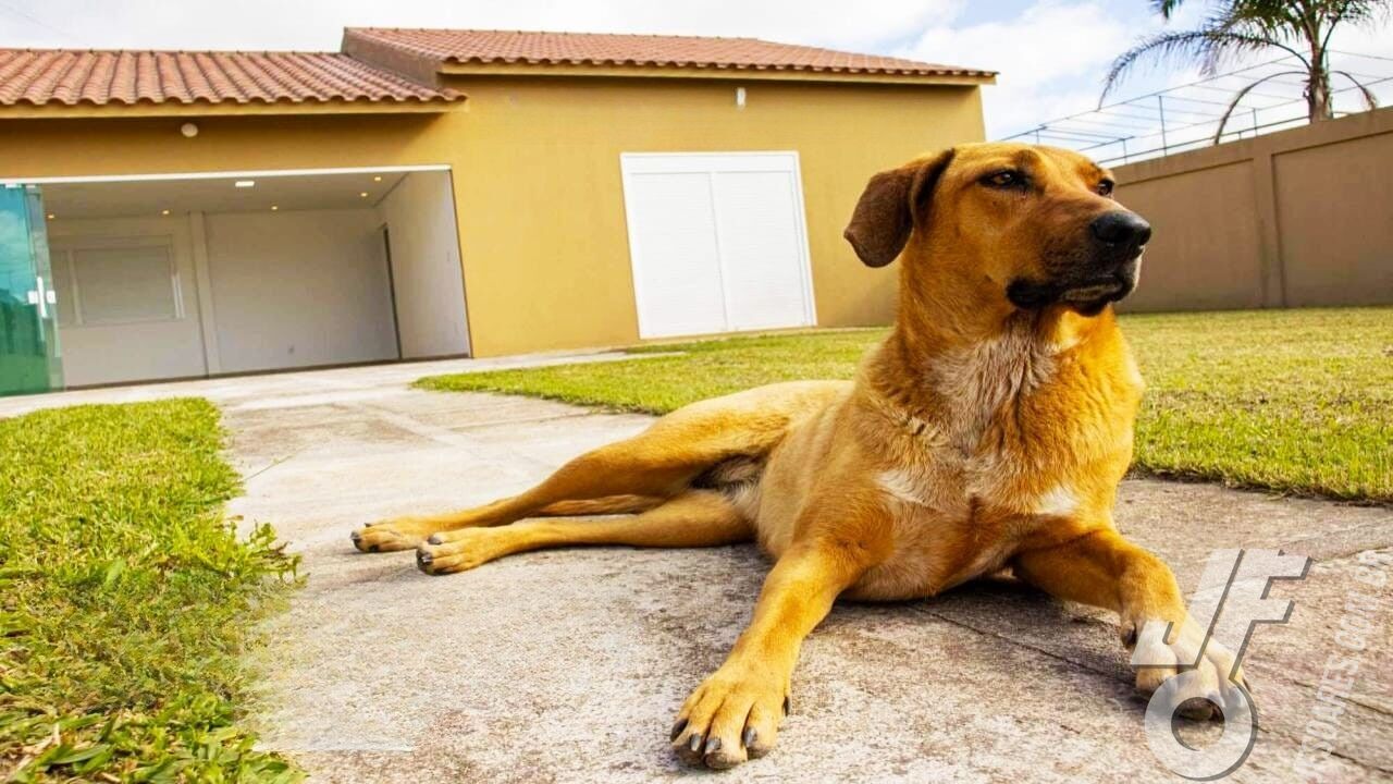 Casa, 3 quartos, 172 m² - Foto 1