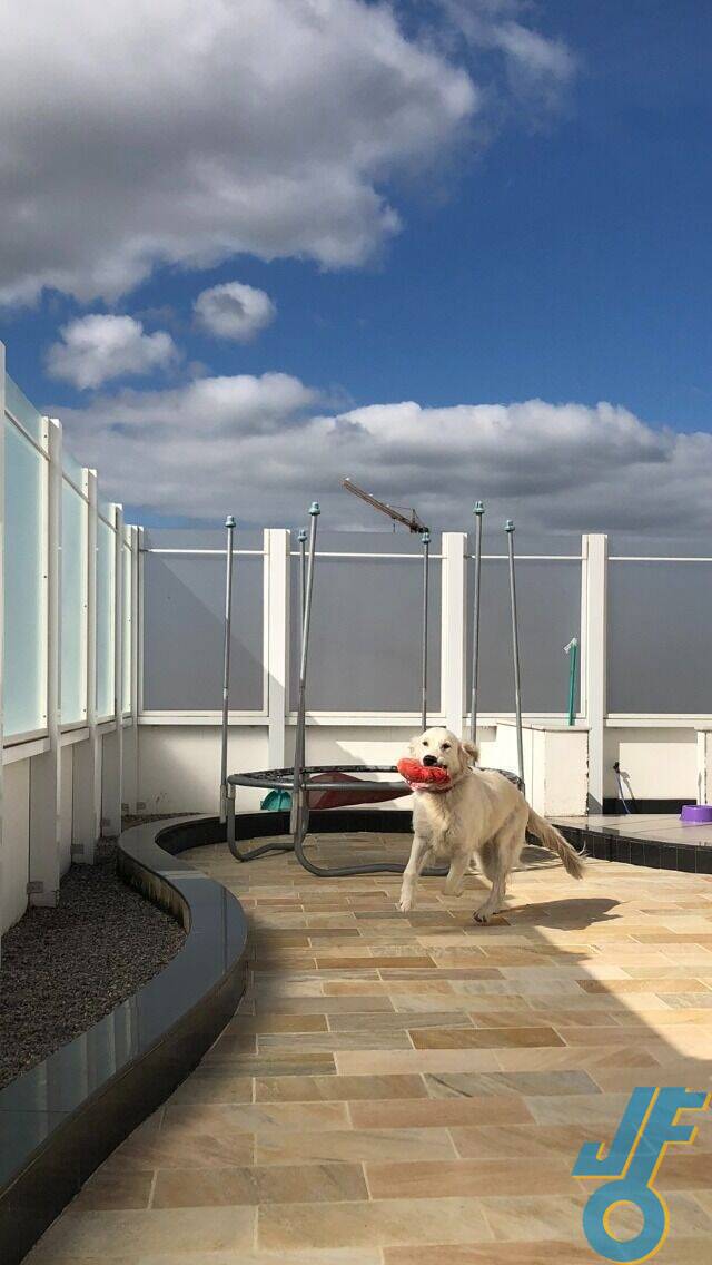 Cobertura, 4 quartos, 415 m² - Foto 12