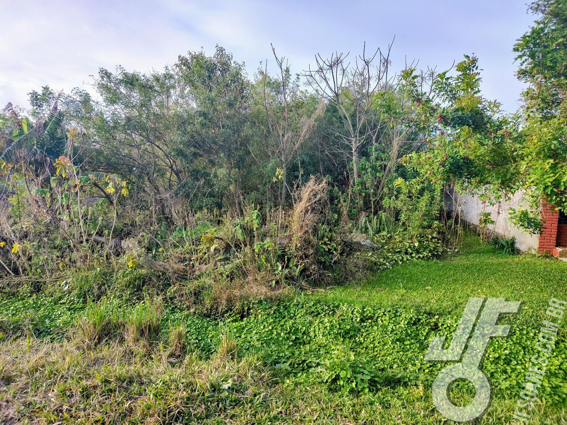 Terreno, 429 m² - Foto 5