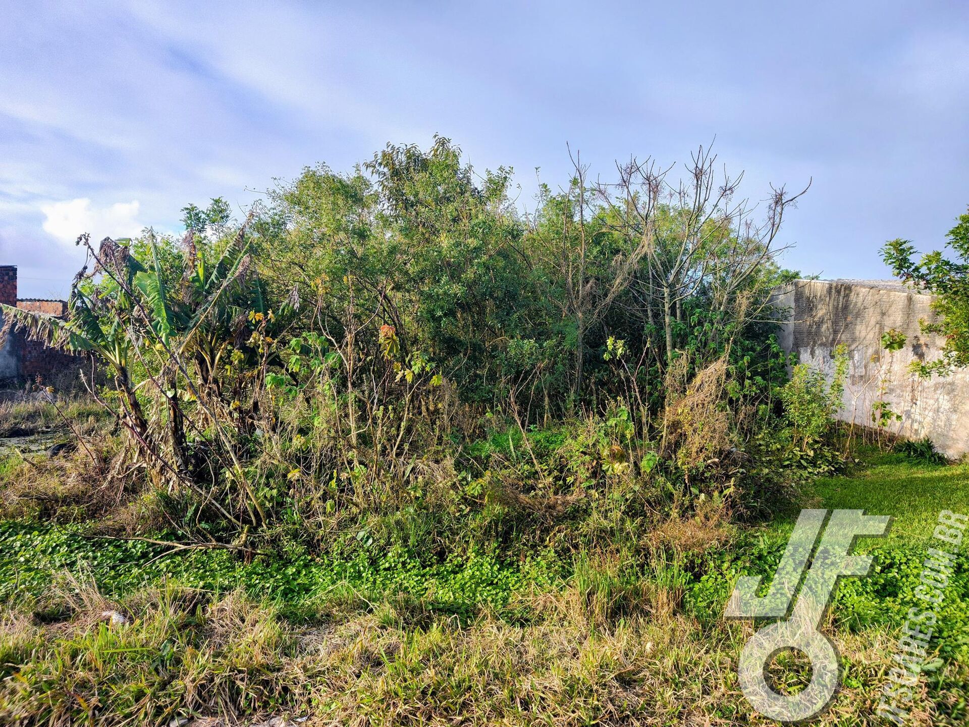 Terreno, 429 m² - Foto 6