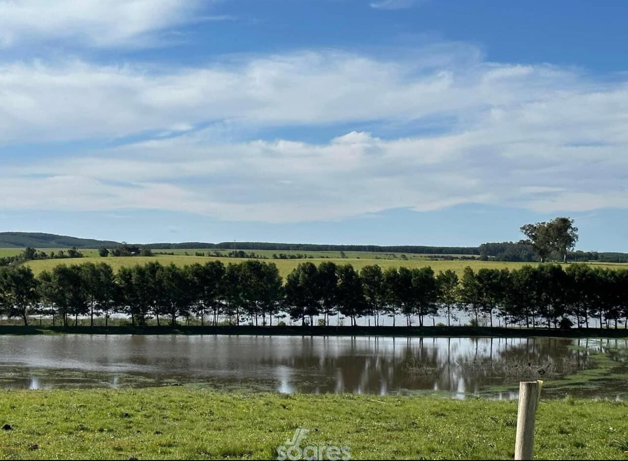 Sítio à venda com 3 quartos, 176000m² - Foto 1