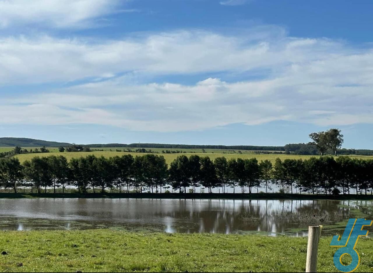 Sítio, 3 quartos, 18 hectares - Foto 1