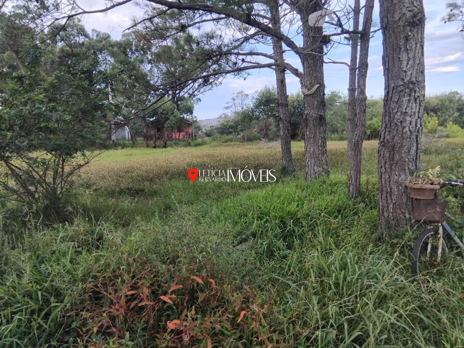 TERRENO 26x50 NA ESTÂNCIA DA LAGOA – CIDREIRA/RS - foto 5