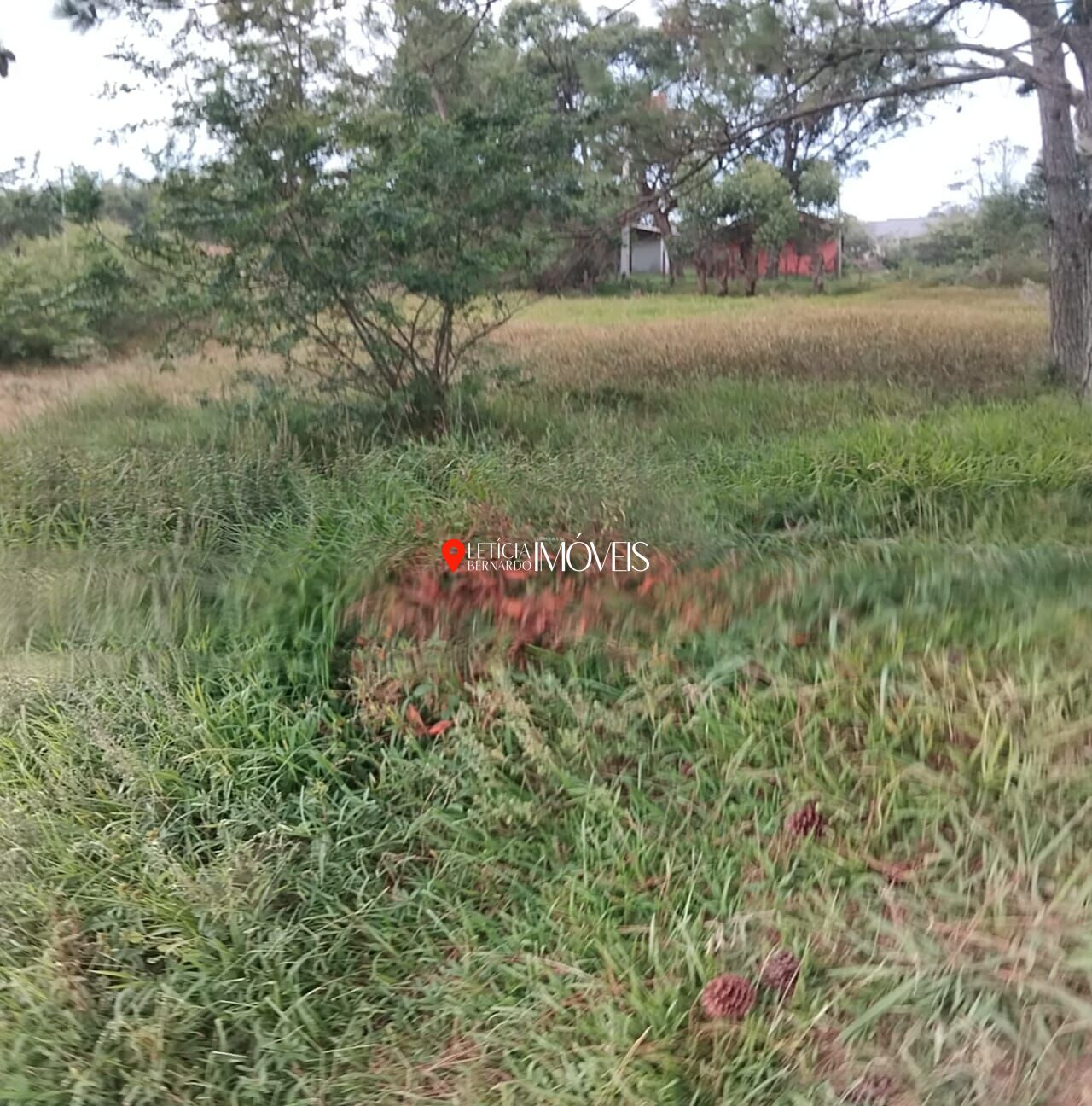 TERRENO 26x50 NA ESTÂNCIA DA LAGOA – CIDREIRA/RS - foto 4