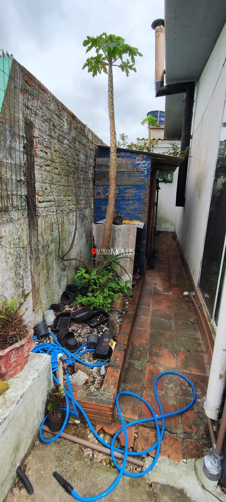 Casa Aconchegante com Kitnet e Atelier nos Fundos - CIDREIRA! — foto 29