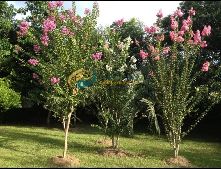 Chácara de Alto Padrão à venda bairro Passo Manso em Blumenau — foto 6