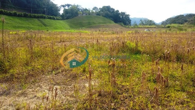 Terreno à venda, 50000m² - Foto 8