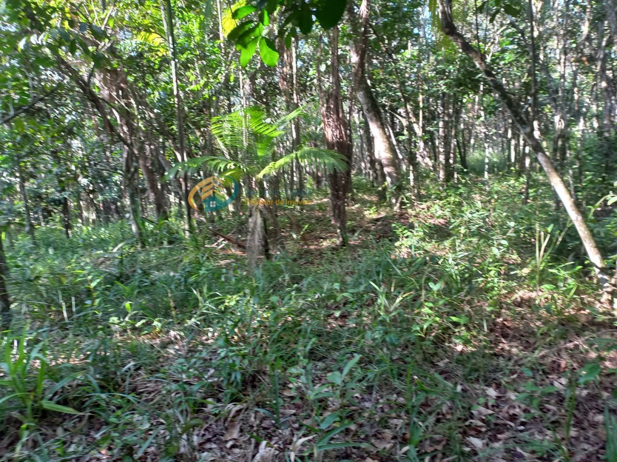 Terreno à venda, 19849m² - Foto 12