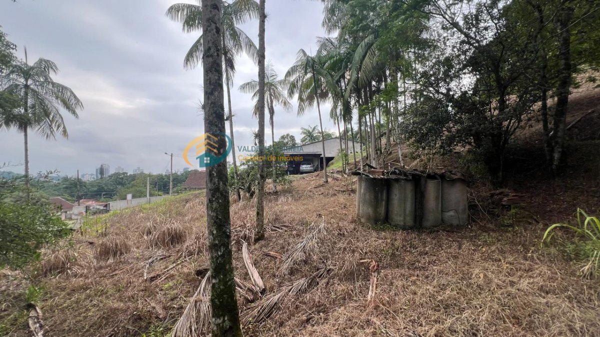 Terreno à venda, 19849m² - Foto 4