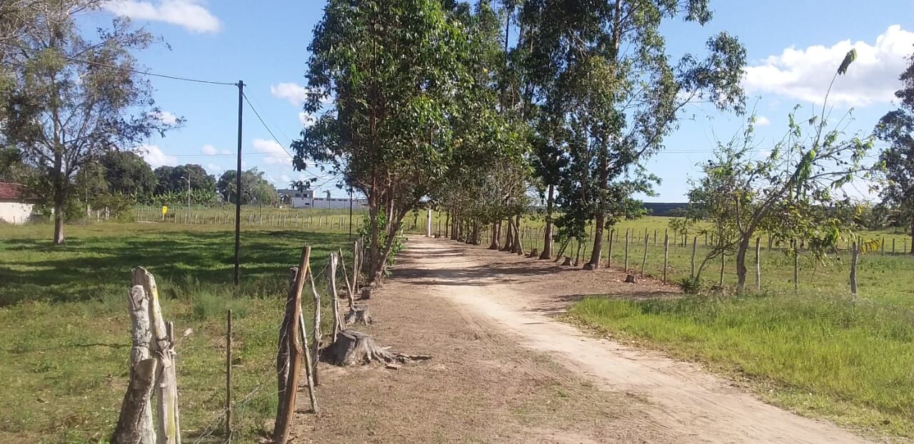 Sítio, 2 quartos, 10 hectares - Foto 1