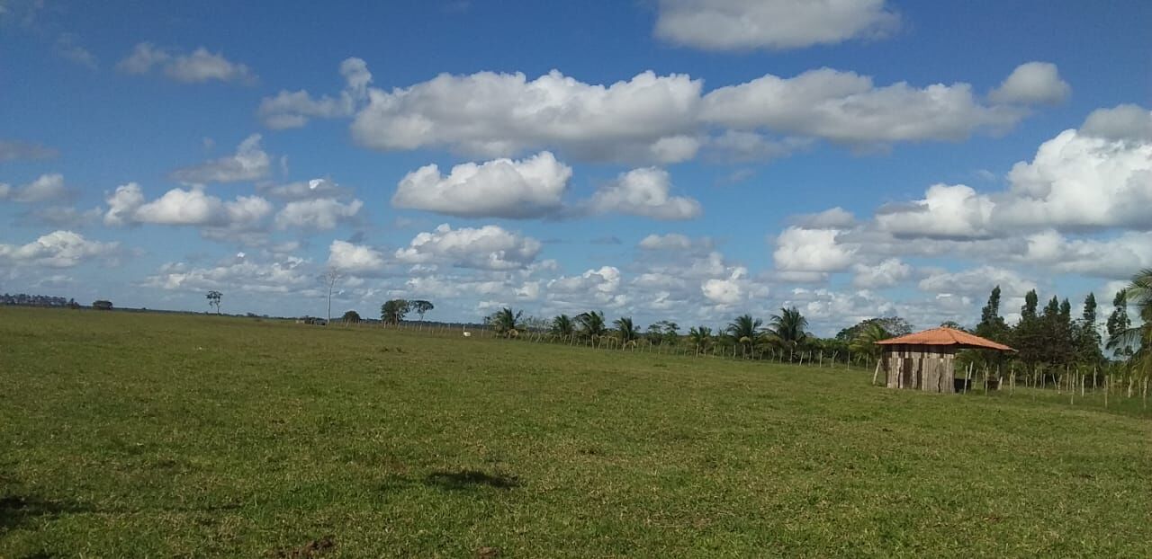 Sítio, 2 quartos, 10 hectares - Foto 6