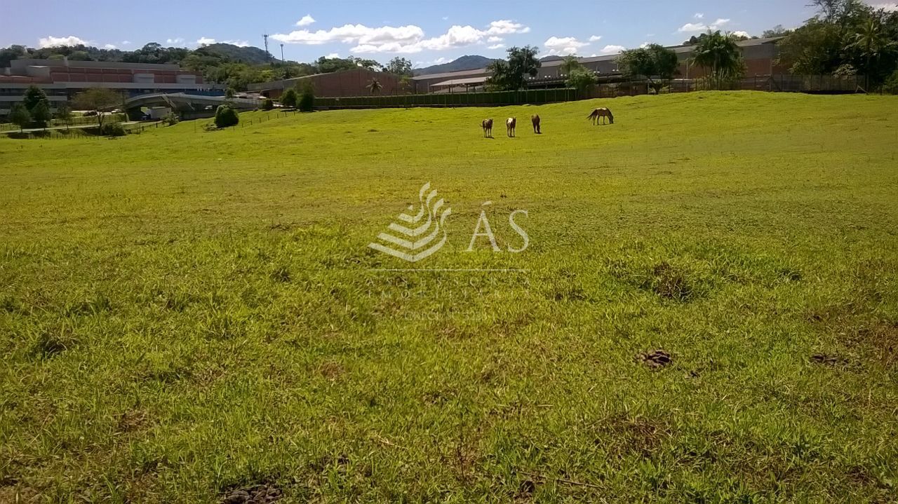 Terreno à venda, 33190 m por R$ 8.099.000,00 - Badenfurt - Blumenau/SC — foto 5