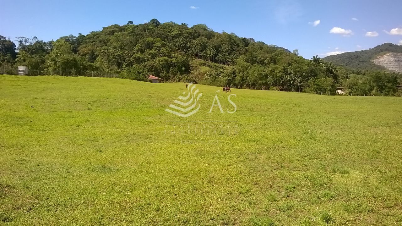 Terreno à venda, 33190 m por R$ 8.099.000,00 - Badenfurt - Blumenau/SC — foto 6