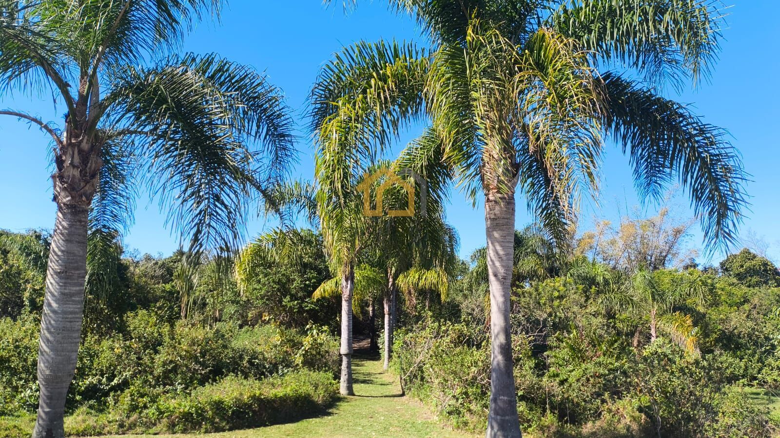 Terreno, 387 m² - Foto 22