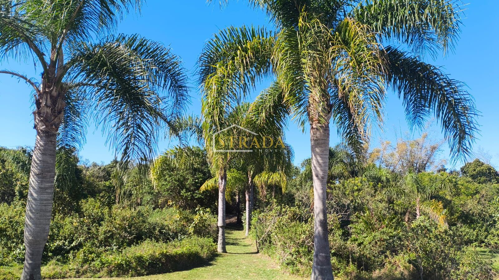 Casa de Condomínio, 3 quartos - Foto 42