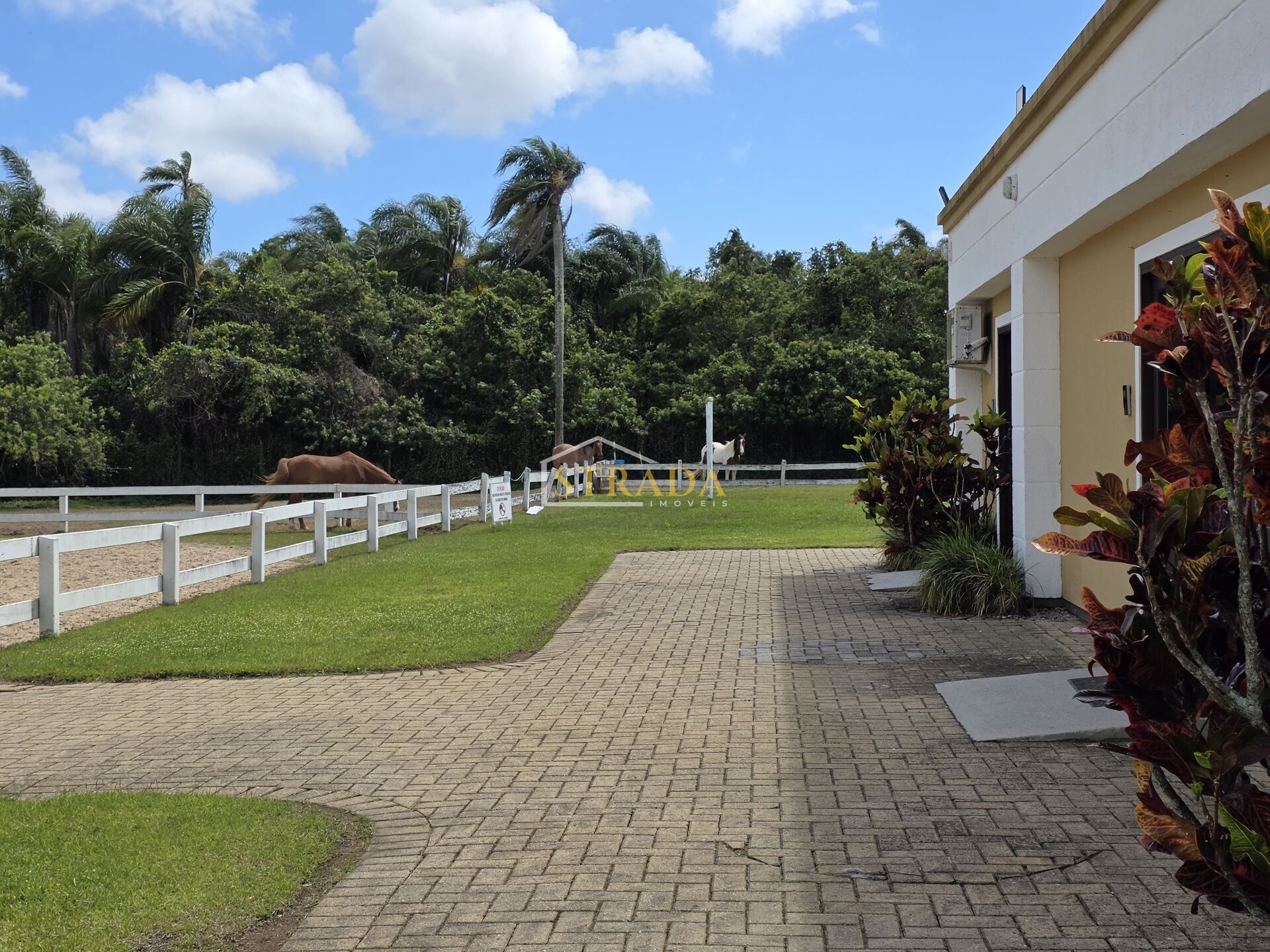 Casa, 3 quartos, 226 m² - Foto 42