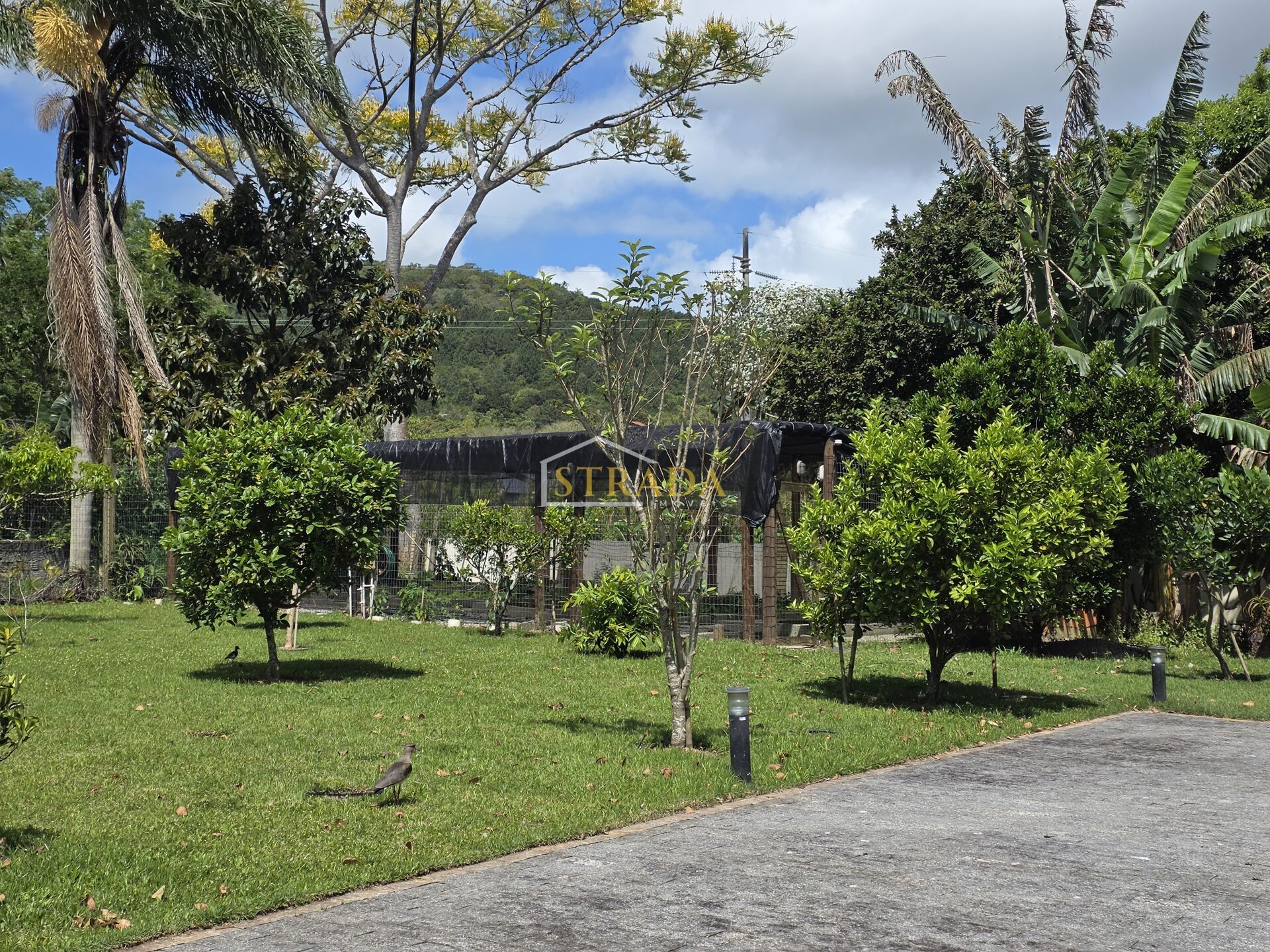 Casa, 3 quartos, 226 m² - Foto 29