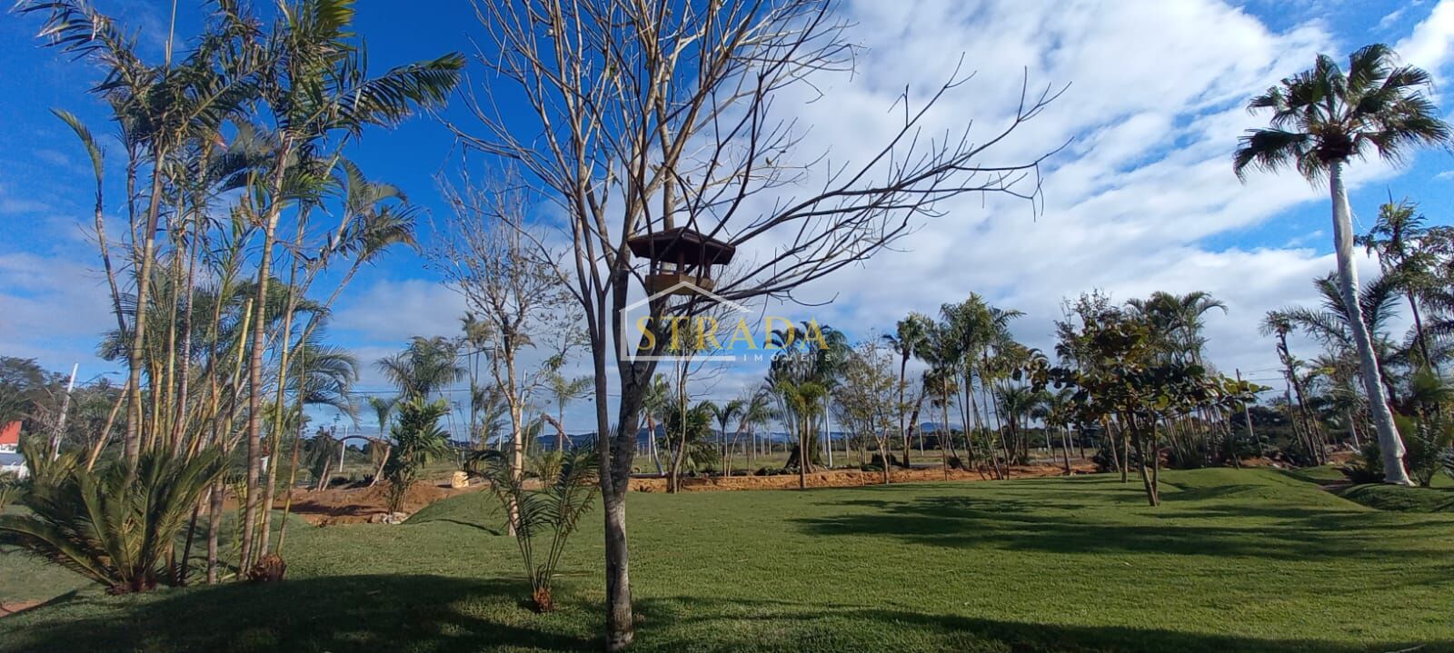 Terreno, 526 m² - Foto 8