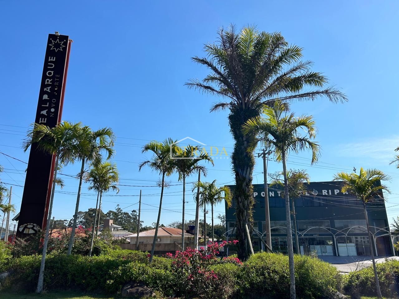 Terreno, 450 m² - Foto 3