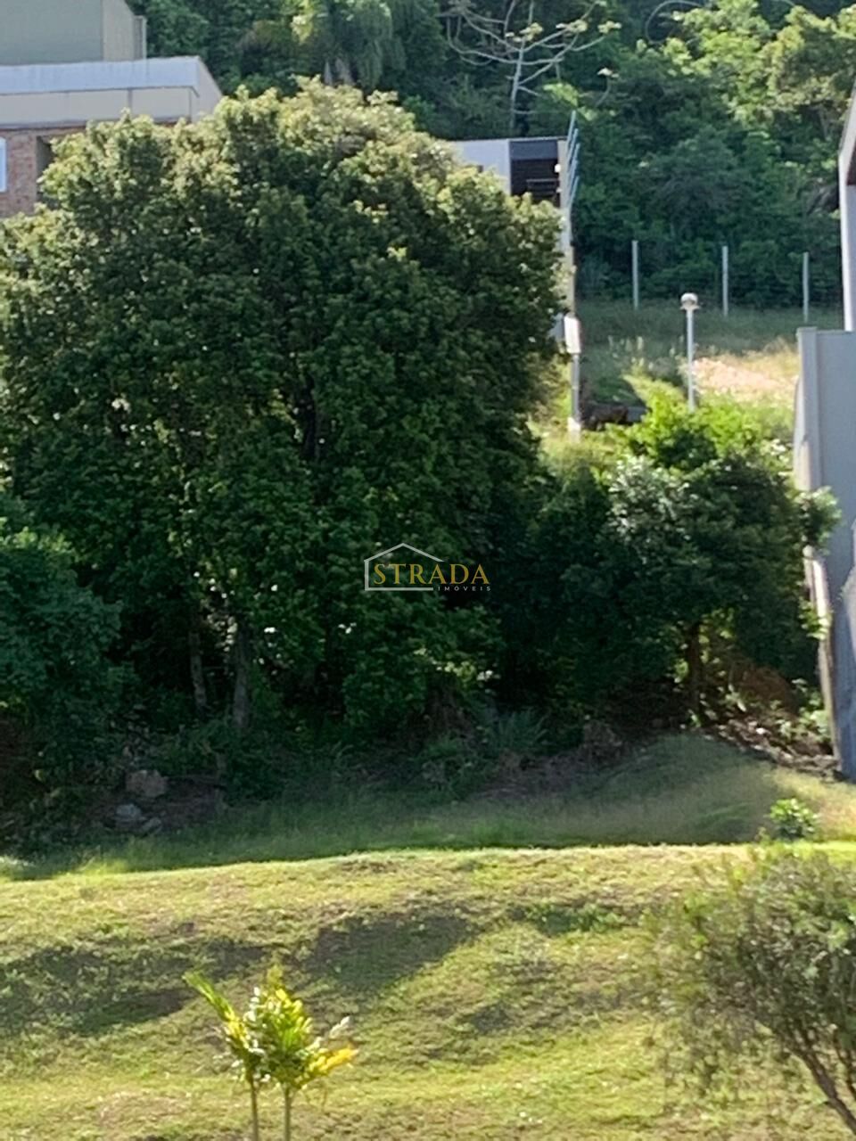 Terreno, 508 m² - Foto 6
