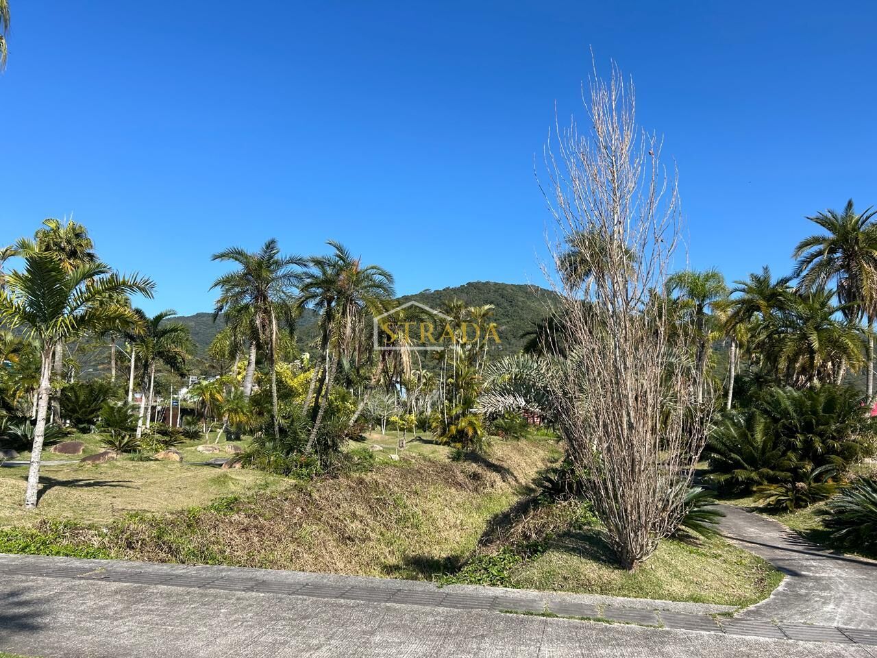 Terreno, 450 m² - Foto 7