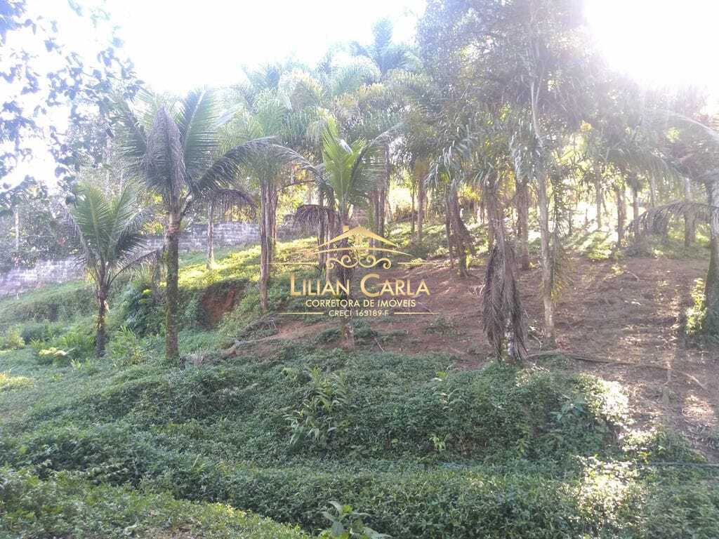 Sítio à venda com 1 quarto, 322000m² - Foto 26