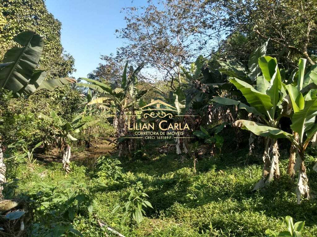 Sítio à venda com 1 quarto, 322000m² - Foto 7