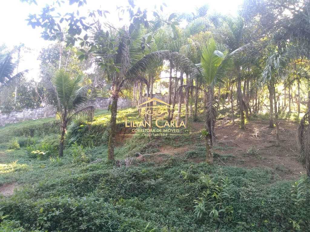 Sítio à venda com 1 quarto, 322000m² - Foto 19