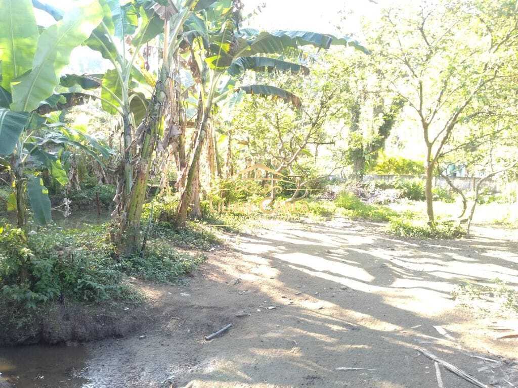 Sítio à venda com 1 quarto, 322000m² - Foto 39