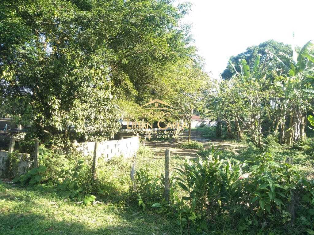 Sítio à venda com 1 quarto, 322000m² - Foto 14