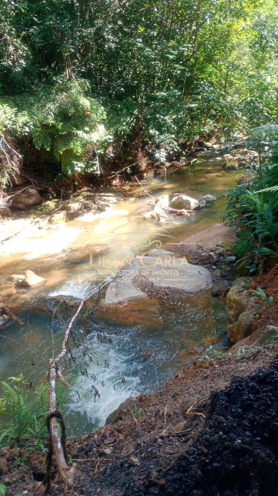 Terreno, 5 hectares - Foto 4