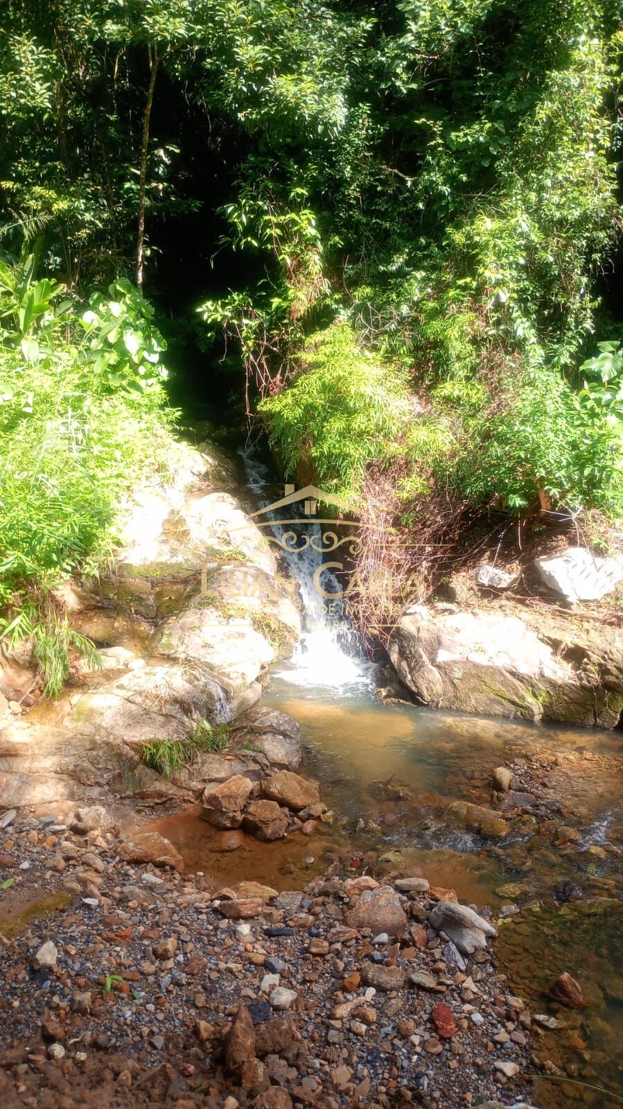 Terreno, 5 hectares - Foto 1